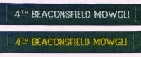 Scout and Guide Labels